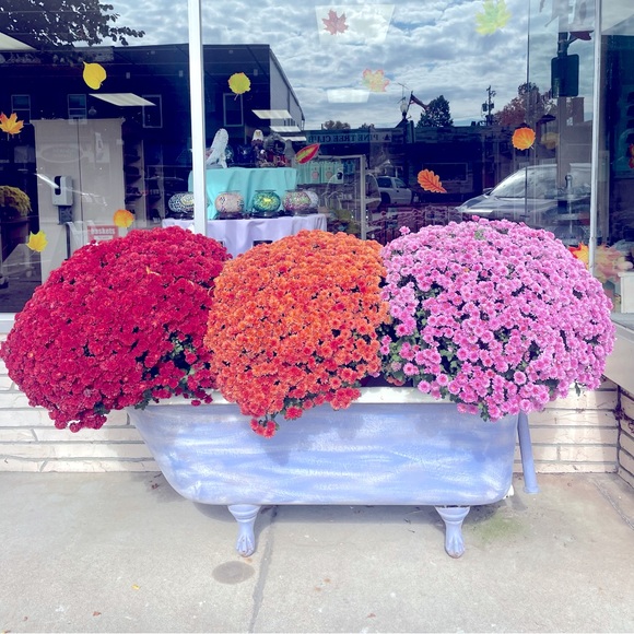 Meet your Posher, Jamie - Picture 1 of 1